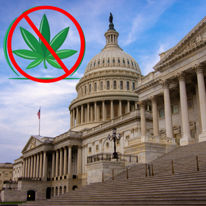 The U.S. Capitol building overlaid with a red cannabis prohibition sign, symbolizing federal drug policy debates and legislative actions regarding the regulation or banning of hemp and marijuana products.