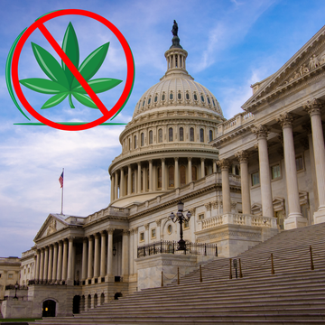 The U.S. Capitol building overlaid with a red cannabis prohibition sign, symbolizing federal drug policy debates and legislative actions regarding the regulation or banning of hemp and marijuana products.