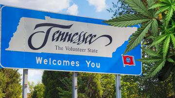 Tennessee's THCA Ban: What you Need to Know Now