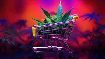 Exploring the Online Store Experience of a Cannabis Retail Brand - Green Treez Company