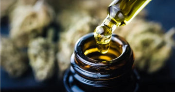 Legal Cannabis Guide | Cannabinoids, CBD Oil, and Proper Dosing - Green Treez Company