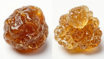 Live Resin vs. Live Rosin: The Ultimate Concentrate Showdown - Green Treez Company