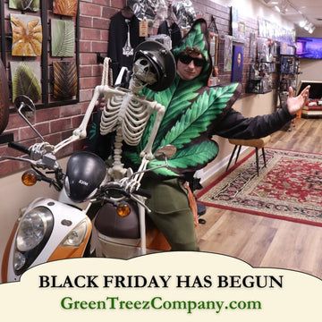 Mr. Flower Arrives During Black Friday - Green Treez Company