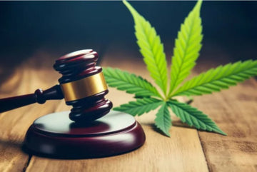 Navigating the Laws and Rules of Legal Cannabis - Green Treez Company