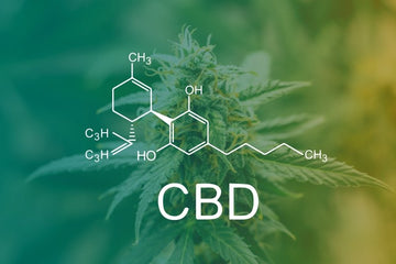 Rewrite Your Routine: Step Into the World of CBD - Green Treez Company