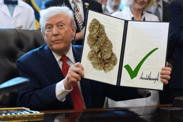 Schedule III Cannabis: Trump Signs Executive Order Reschedule Marijuana CSA | Hemp Win? - Green Treez Company