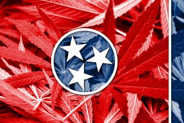 TN Hemp Laws: What's Still Legal after July 1, 2026?