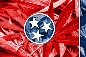 TN Hemp Laws: What's Still Legal after July 1, 2026? - Green Treez Company