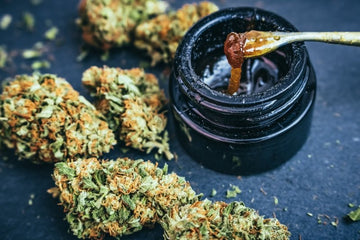 What is Live Resin? Your Guide to Legal Cannabis Live Resin Products - Green Treez Company