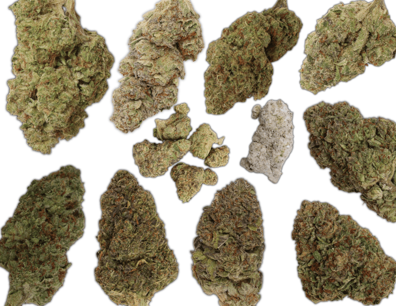 Green Treez Company THCa Flower | Shop 15% Off GTC Brand THCa Flower