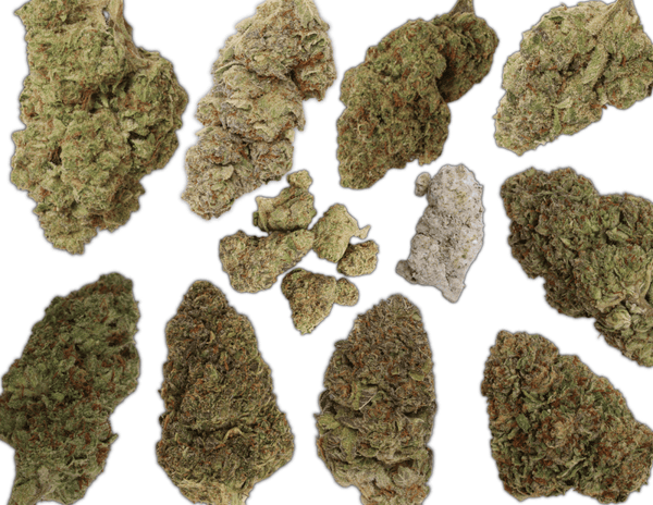 Green Treez Company THCa Flower - Green Treez Company