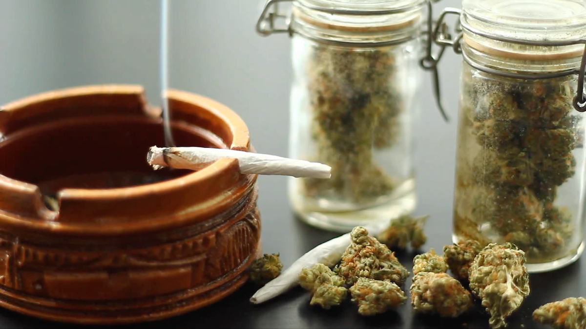 Green Treez Company Dispensary