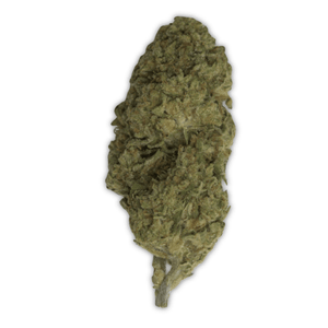 Amaretto Sour THCa Flower - sold by Green Treez Company