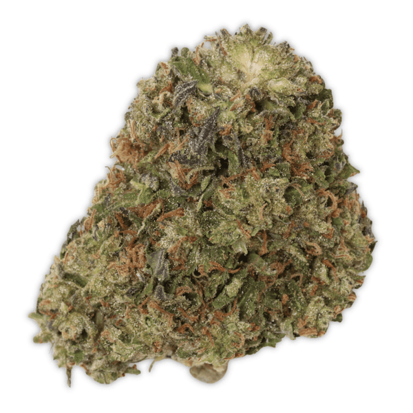 Banana Cooler THCa Flower - sold by Green Treez Company