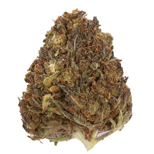 Blue Orchid Flower 3.5g Premium - sold by Green Treez Company