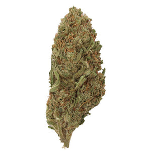 Canna Harley Flower 3.5g Premium - sold by Green Treez Company