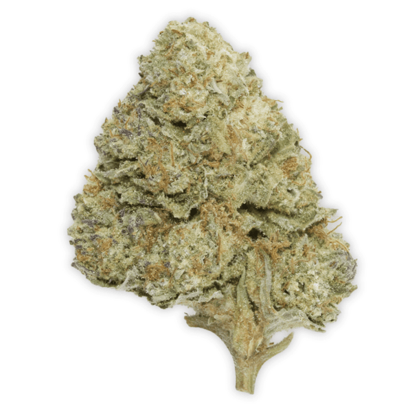 Garlic Budder THCa Flower - sold by Green Treez Company