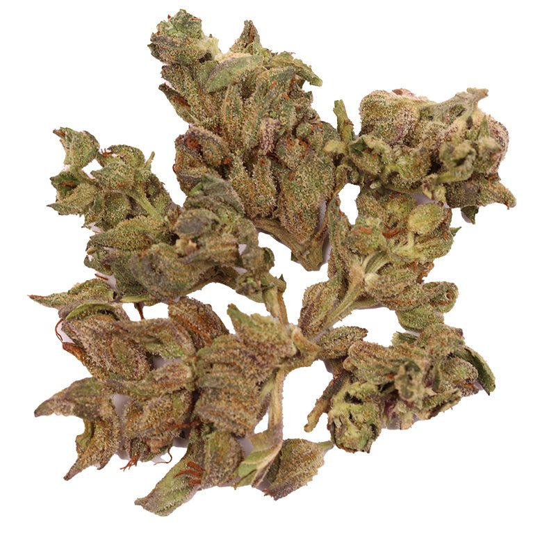 Green Treez Company Gelato WW THCa Flower 3.5g - 1oz | Nashville TN