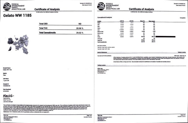 Gelato WW Flower THCa - sold by Green Treez Company