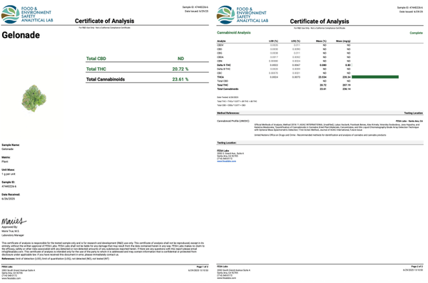 Gelonade Flower THCa - sold by Green Treez Company