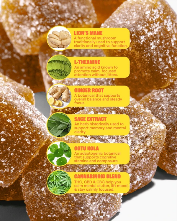 Highly in Focus Gummies 600mg THC CBG CBD - sold by Green Treez Company