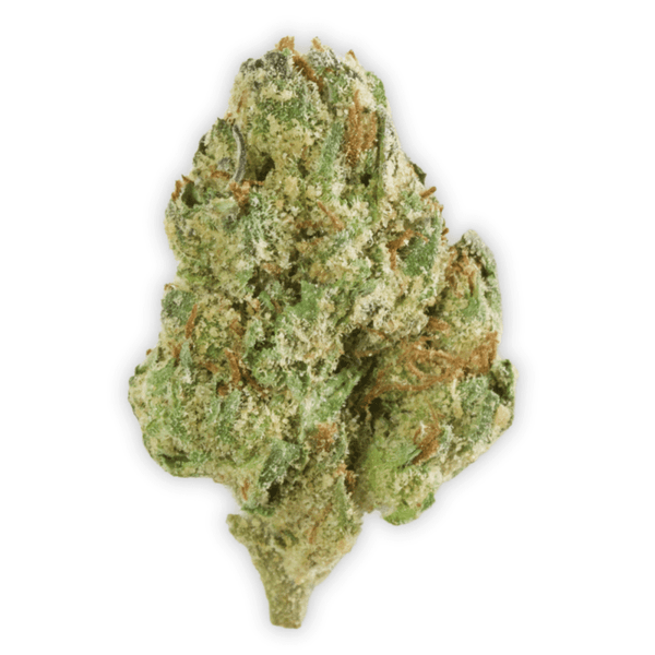LA Sunshine THCa Flower - sold by Green Treez Company