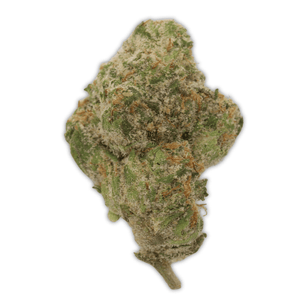 Lemonatti THCa Flower - sold by Green Treez Company