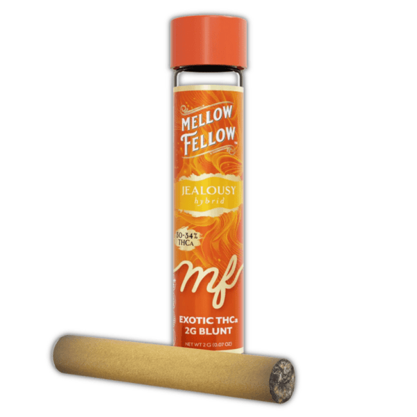 Mellow Fellow Infused THCa Blunts Glass Tip 2g - All Strains - sold by Green Treez Company