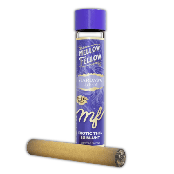 Mellow Fellow Infused THCa Blunts Glass Tip 2g - All Strains - sold by Green Treez Company