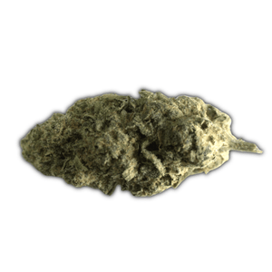 Midnight Phunk THCa Flower - sold by Green Treez Company