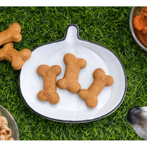 Organic CBD Dog Treats 300mg - sold by Green Treez Company