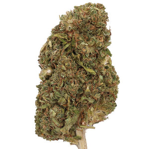 Pinewalker OG Flower 3.5g Premium - sold by Green Treez Company