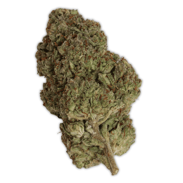 Platinum Cookies Flower THCa - sold by Green Treez Company