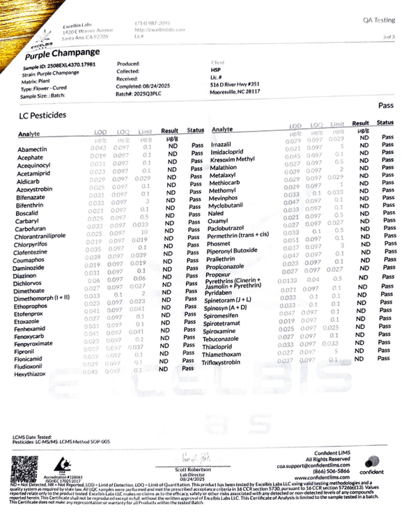 Purple Champagne Craft Primo THCa Preroll 1.5g - sold by Green Treez Company