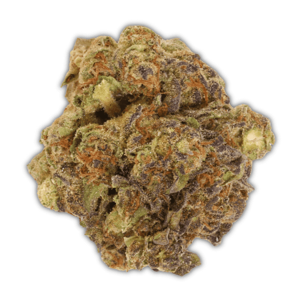 Purple Champagne THCa Flower - sold by Green Treez Company