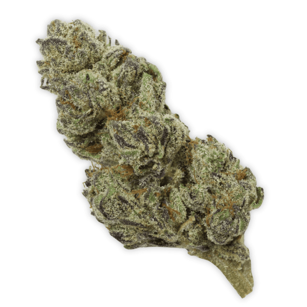 Purple Cheddar THCa Flower - sold by Green Treez Company