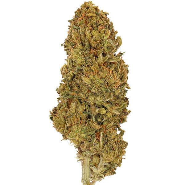 Sour Candy Kush Flower 3.5g Premium - sold by Green Treez Company