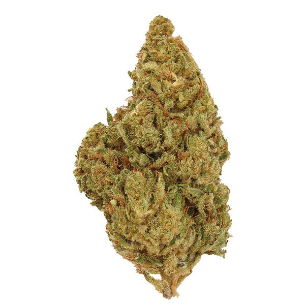 Tropical Tempest Flower 3.5g Premium - sold by Green Treez Company