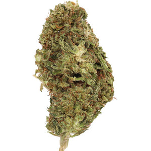 Velox Flower 3.5g Premium - sold by Green Treez Company