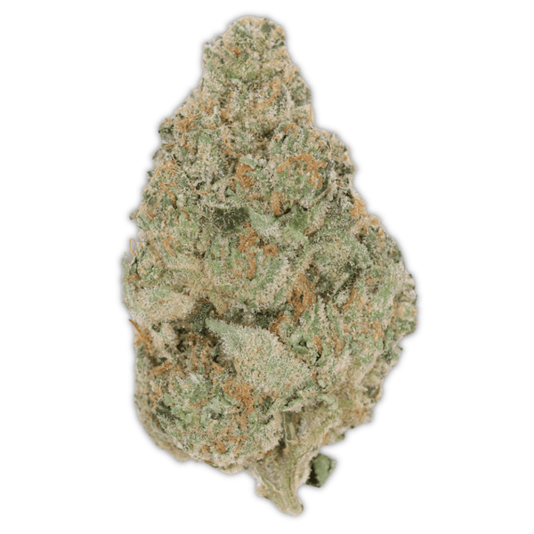 White Lemon THCa Flower - sold by Green Treez Company