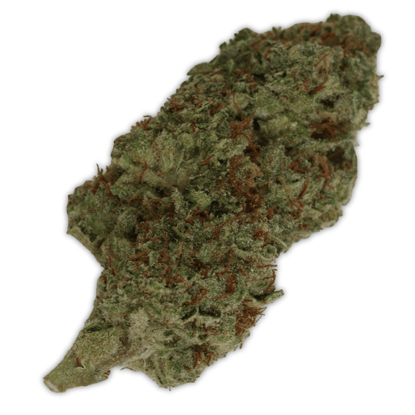 White Truffle Flower THCa - sold by Green Treez Company